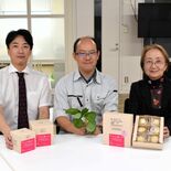イチゴの葉を活用しクッキーに　宇大とイートランドが商品化　今月末からJ…