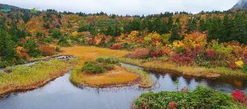 行くべき２６の旅行先に日本選出