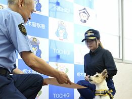 「タフなコンディション」で大活躍　高齢…