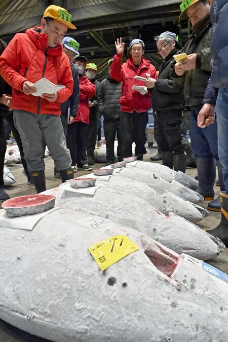 冷凍メバチマグロを次々に競り落とす仲買人＝５日午前５時30分、宇都宮市簗瀬町