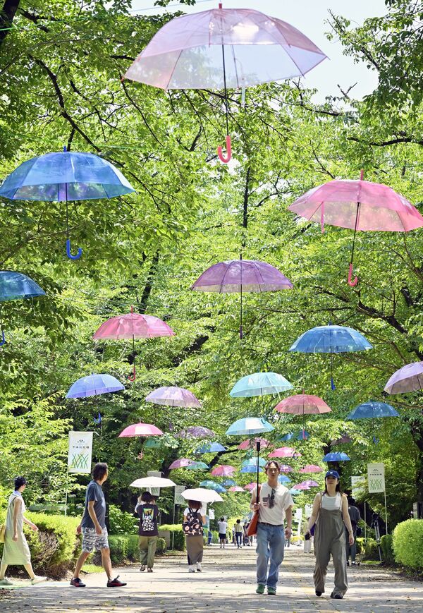 桜並木を彩るカラフルなビニール傘=19日正午、那須塩原市千本松、永嶌理絵撮影