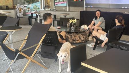 　上海市内にあるペット同伴ＯＫのカフェで犬とくつろぐ客＝８月３１日
