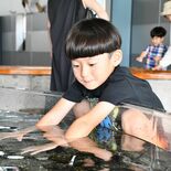 大田原・なかがわ水遊園、開園25年目へ　遊び心満載　おもしろ魚館にはピ…
