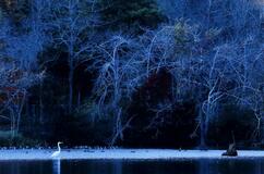 入選　「ブルーステージ」