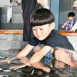 大田原・なかがわ水遊園、開園25年目へ　遊び心満載　おもしろ魚館にはピラルクー、カピバラ…　魅力を紹介