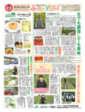 2019年12月18日(水)掲載面