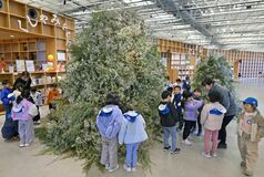 【夕刊】クリスマスアート作品「みるる」で展示