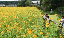 【夕刊】里山彩るオレンジ色