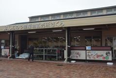 広い店内ゆっくり買い物　農産物直売所さくら　ＪＡしおのや