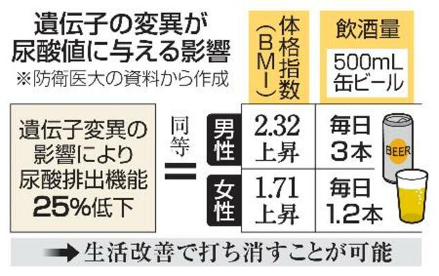 　遺伝子の変異が尿酸値に与える影響