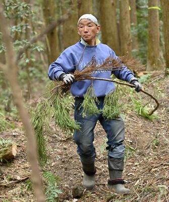 地元の山林を整備する田中さん。震災を機に東京電力を退職し、地域に根ざした活動に取り組む＝２月下旬、佐野市多田町、磯真奈美撮影