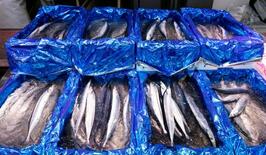 【サンマ豊漁】秋の味覚、今年は手頃に