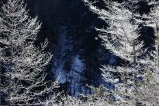 上高地の自然環境は永遠ではありません