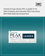 DXC、Everest GroupによるBPSプロバイダー評価で損害保…