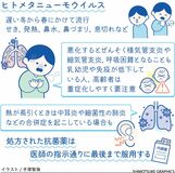 せきや発熱引き起こすヒトメタニューモウイルス 手洗い、マスクで予防を【白鷗大・岡田教授が解説】
