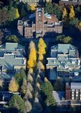東大に２学部新設構想