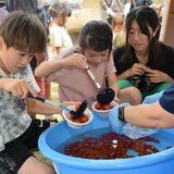トマトのマルシェで特産ＰＲ　とちぎわんぱく公園　ゲームや直売、親子連れでにぎわう