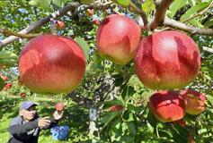 陽光の恵み凝縮