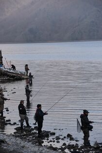 中禅寺湖で岸釣り解禁