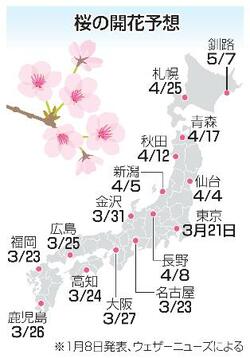 桜開花予想、北日本は早め