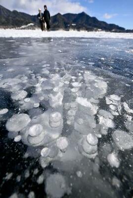 　北海道上士幌町の糠平湖に出現した、凍結した湖面に湧き出たガスなどの気泡が閉じ込められた「アイスバブル」＝２２日午後