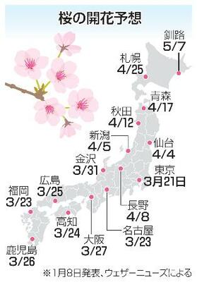 桜の開花予想(1月8日発表、ウェザーニューズによる)
