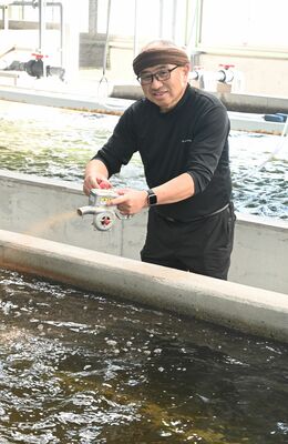 アユの稚魚にえさをやる瀧澤卓倫さん