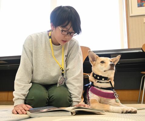 セラピー犬に本を読み聞かせする子ども＝６日午後、鹿沼市睦町