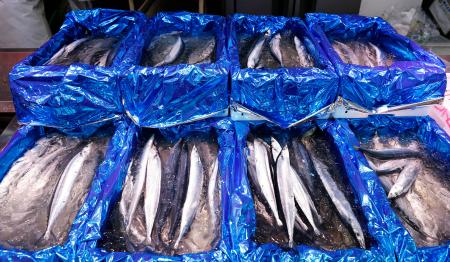 　東京都品川区の鮮魚店「中與（なかよ）商店」に並ぶサンマ＝２５日午前