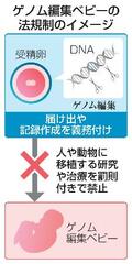 ゲノム編集ベビーに罰則