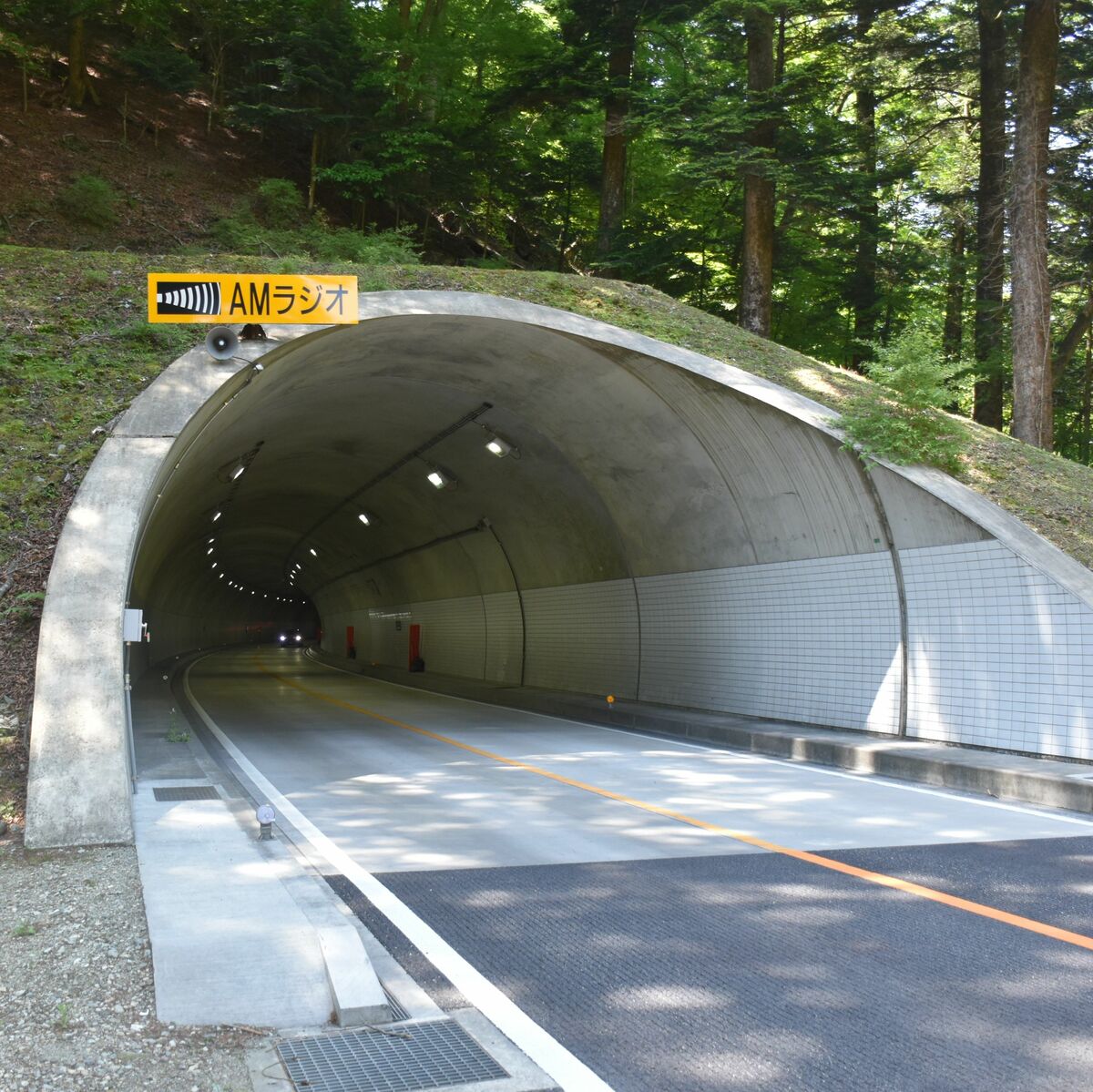 トンネル出入り口1カ所だけ違う？ 明らかに簡素「竹割型」とは