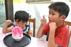 梅雨明け前なのに月の半分が真夏日　宇都宮の６月、14日間で過去最多　1…