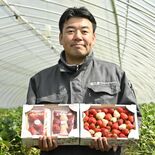 “日本最大級”のイチゴフェス「ストロベリーワールドin真岡」開催間近　…