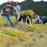「田んぼの学校」で稲刈り体験　わら鉄砲作りも挑戦　鹿沼のふれあいみどり…