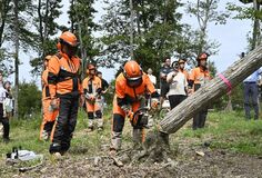 【夕刊】オートバイのトップライダーが間伐体験