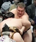 綱とり安青 ３敗目