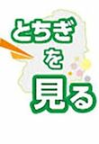 とちぎを見る棚田