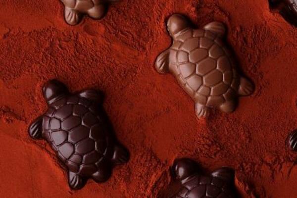　小さな亀の形をした限定品のチョコレート（提供写真）