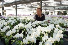 春咲いた！　花の直売所へ出かけよう