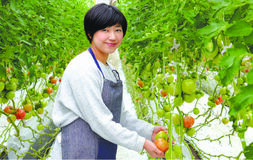 渡邊 裕天（わたなべゆか）さん 31歳/トマト生産者
