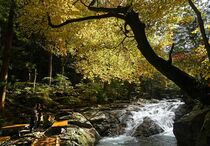 小太郎ケ淵 紅葉始まる　那須塩原