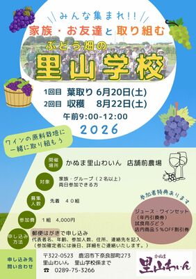かぬま里山わいんワイナリーの「ぶどう畑の里山学校」の参加者を募集するフライヤーデザイン