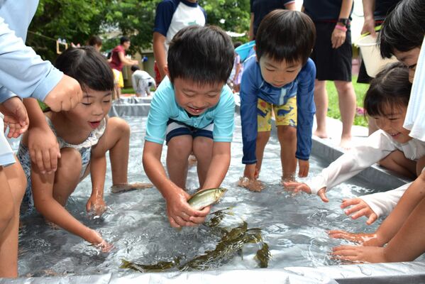 アユのつかみ取りを楽しむ園児ら