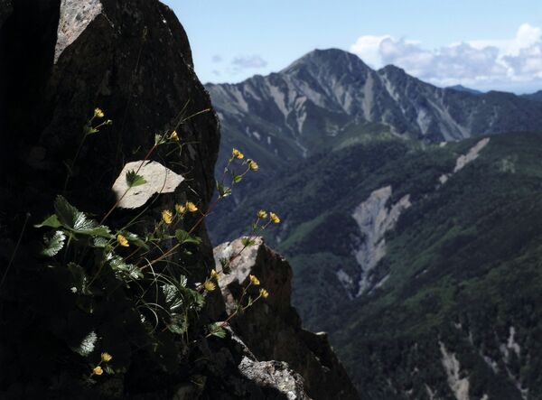 「縦走路のご褒美」家入蒼生夫（壬生）
