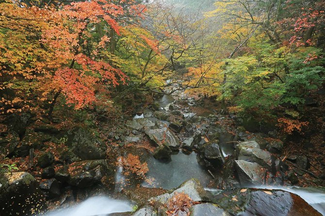 【例年の見ごろ】10月下旬~11月上旬 【住所】矢板市長井
