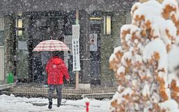 雪の投票日 出足影響