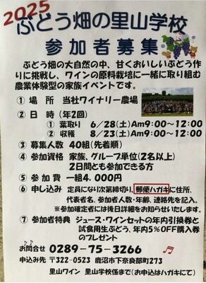 提供写真・「２０２５ぶどう畑の里山学校」の参加者を募集しているチラシ