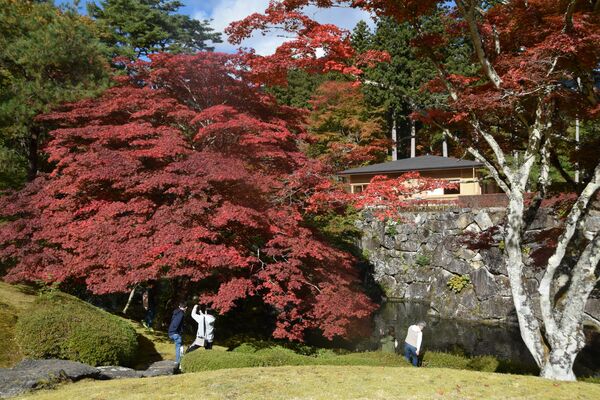 紅葉が色づき始めた古峯園