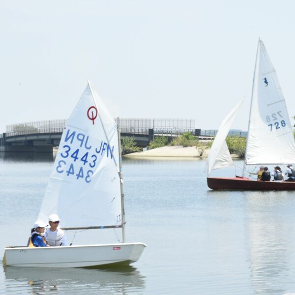 海なし県」でも楽しめる水上スポーツ それはセーリング 渡良瀬遊水地で