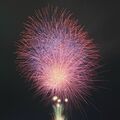 初夏の夜空に大輪1300発 鹿沼で「さつき祭り」初日に合わせ打ち上げ 地元グルメなど110店